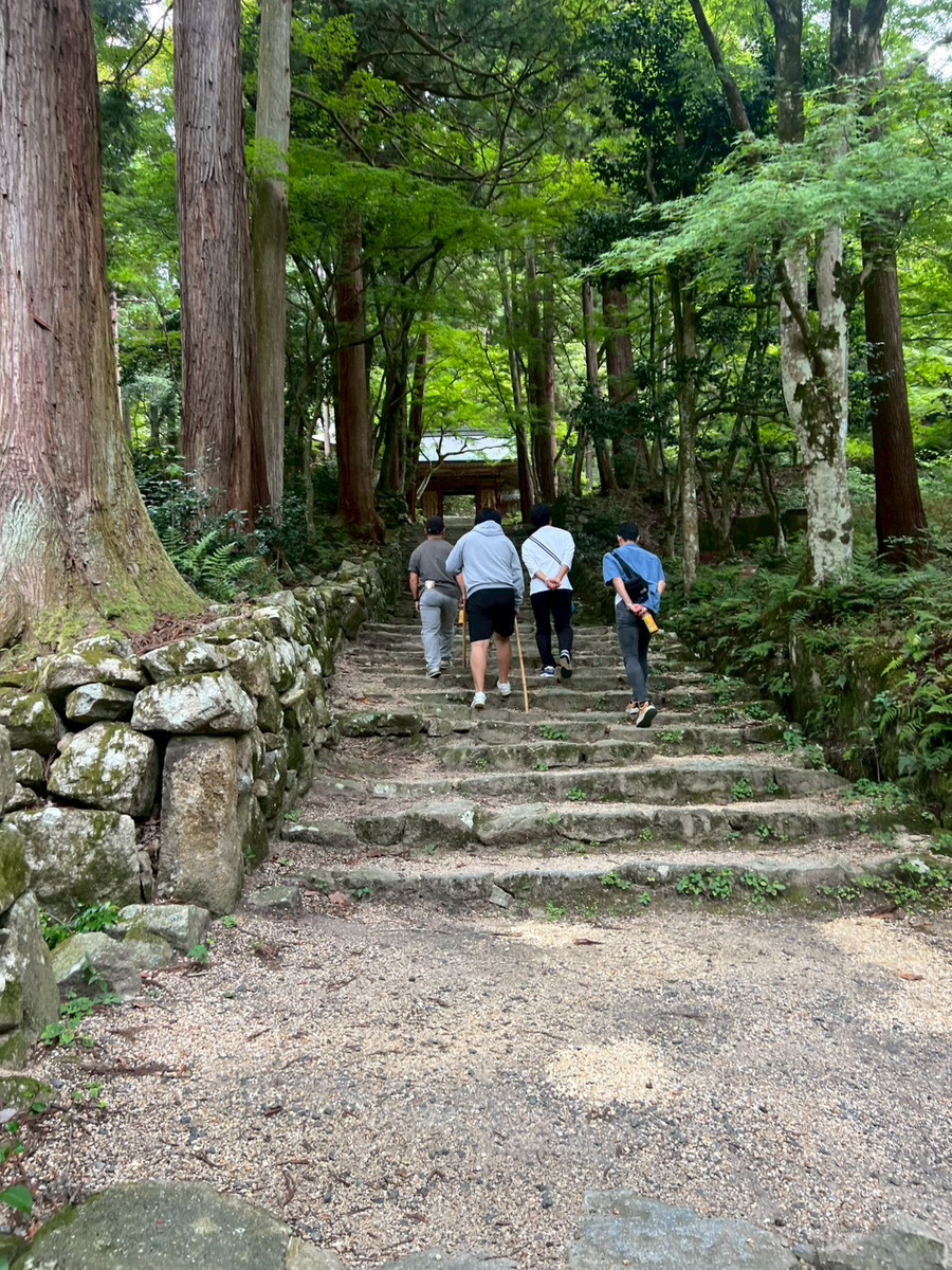 緑豊かな参道を仲間と歩く様子