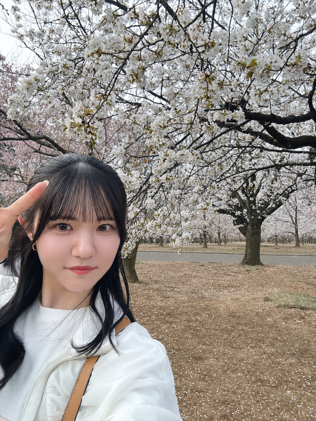 桜の下で休日を過ごす比嘉七奈さん